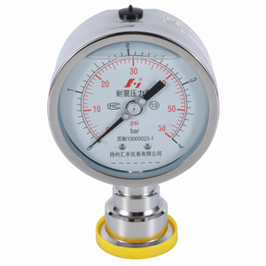 Diaphragm Pressure Gauge ss Case 63mm 0~4 bar Sanitary Type